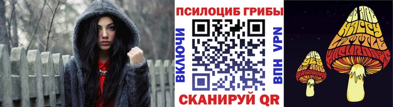 Псилоцибиновые грибы мицелий  shop какой сайт  Камышин 